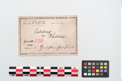 Etiketten zu Tierzahn (NHMW-PRAE-024812)